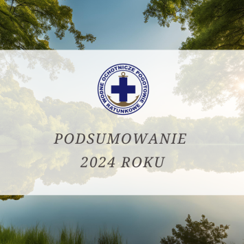 Podsumowanie 2024 roku